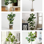 Review Of The Best Faux Fiddle Leaf Fig Tree