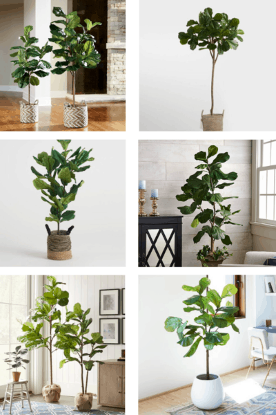 Best Faux Fiddle Leaf Fig Trees