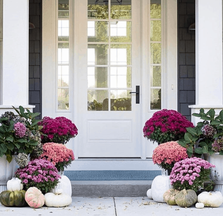 Make a modern fall front porch by using plum and purple mums. 