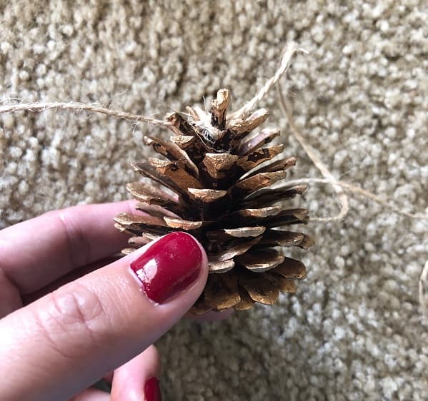 Tie the pine cone to the twine and use hot glue if needed. 